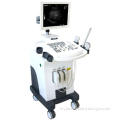 Full Digital Ultrasound Scanner